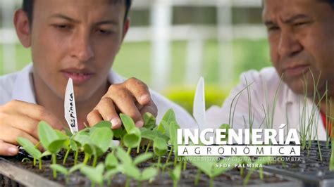 Ingeniería Agronómica UNPalmira YouTube