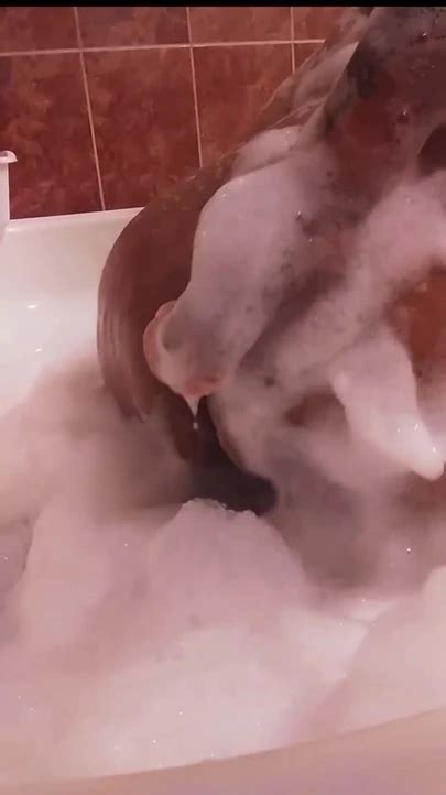 Chub Bath Time Gay Bear Bear Porn Feat Shakenbake XHamster