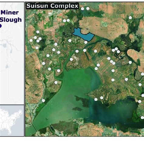 Locations Of San Pablo Tidal Saline Rush Ranch Tidal Brackish The