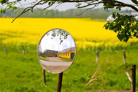 Rapsmark Med Gadespejl I Forgrunden Stock Foto Colourbox