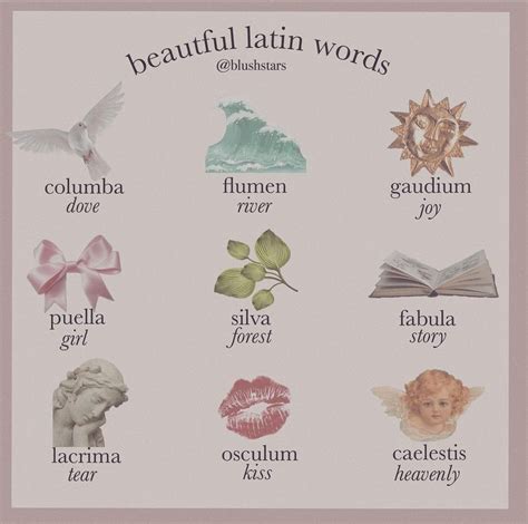 Blushstars Unusual Words Rare Words Unique Words Latin Quotes