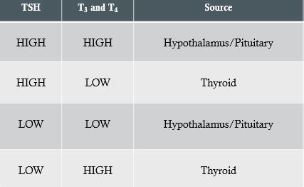 Endocrinology Exam Flashcards Quizlet