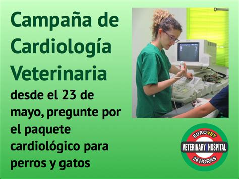 Campa A De Cardiolog A Veterinaria Eurovet Hospital Veterinario En