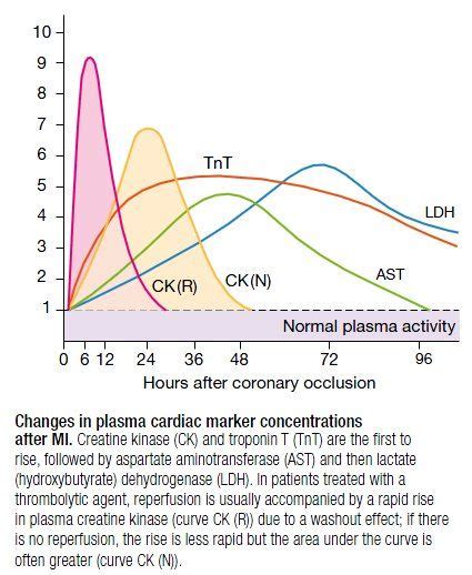 Cardiac Markers Serum Cardiac Markers Are Used To Confirm Or Exclude