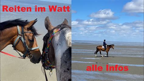 Reiten Im Watt Von Cuxhaven Nach Neuwerk Und In Der K Stenheide