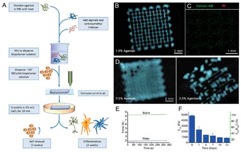 Materials Free Full Text Recent Trends In Three Dimensional Bioinks