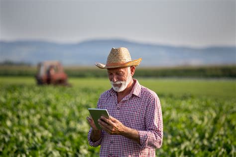 Qual A Importância Da Gestão Financeira No Agronegócio Rocha