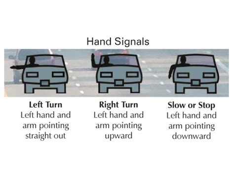 Right Left Stop Hand Signals Driving Varbids