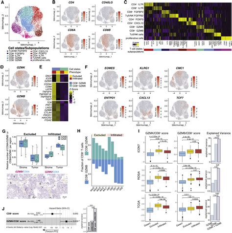 Single Cell Dissection Of Cellular Components And Interactions Shaping