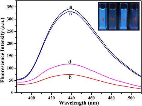 Fluorescence Spectra And Image Of N CDs In The Presence Of Different