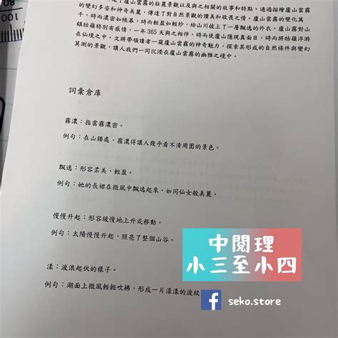 中文閱讀理解 中閱理 Seko 思高