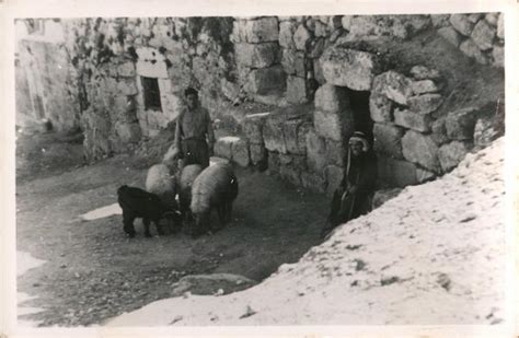 Tomb of Lazarus Bethany, Israel Middle East Postcard