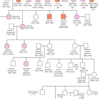 Family tree of Charles Darwin's (CD) relatives. Notes: First ...