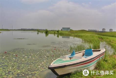 来唐山旅游我推荐曹妃甸，简直太美了！国内自由行什么值得买