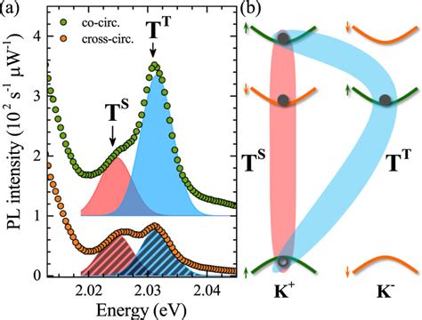 A Helicity Resolved Pl Spectra Of A Ws Monolayer Encapsulated In Hbn