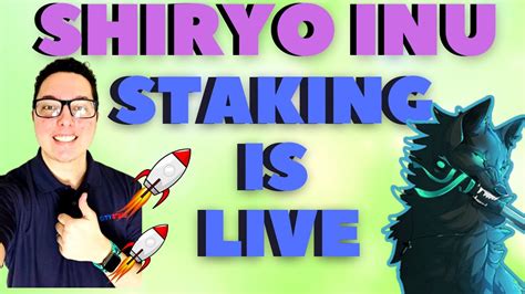 Shiryo Inu Staking Is Live Massive New Staking Is Here Youtube