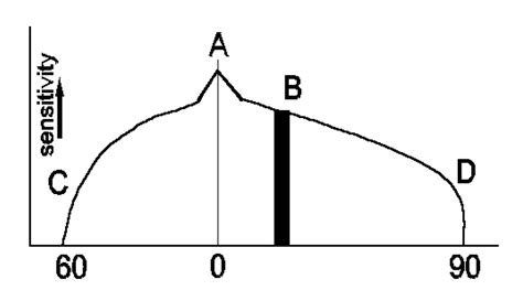 Visual Fields Diagram Quizlet