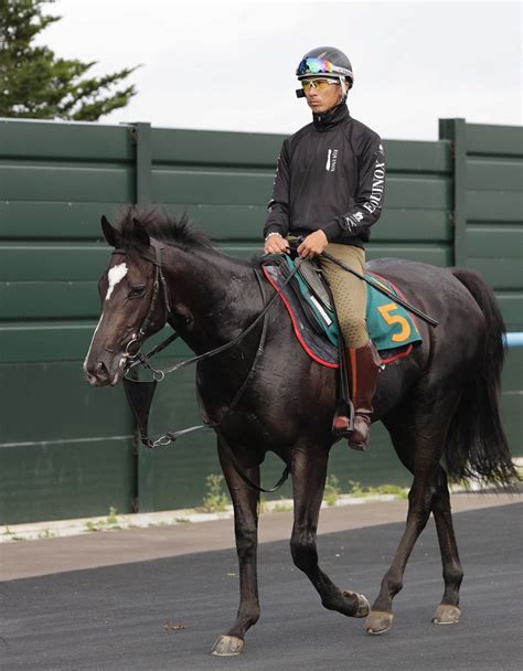 【新馬戦】ソニックライン 着実に良化 最終リハで2馬身先着 異父姉はg1・3勝馬 競馬ニュース