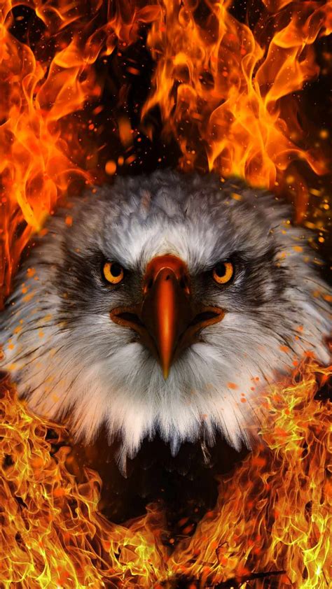 Eagle Fire Iphone Wallpaper Iphone Wallpapers Iphone Wallpapers