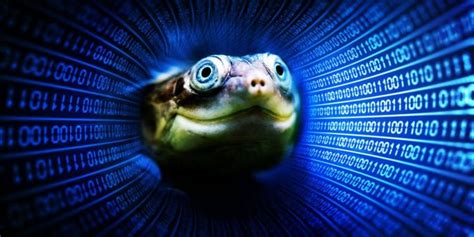 New Terrapin attack can compromise SSH : r/cybersecurity