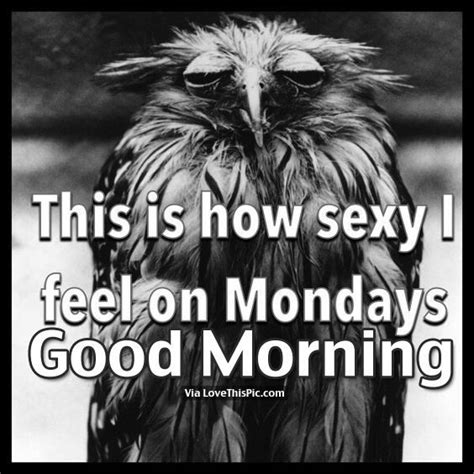 This Is How Sexy I Feel On Mondays Good Morning Monday Good Morning Monday Quotes Good Morning