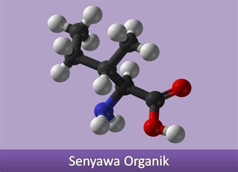 Jelaskan Perbedaan Senyawa Organik Dan Anorganik Yang Detail