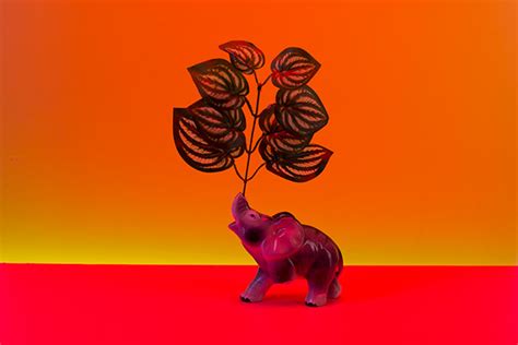 Chang on Behance