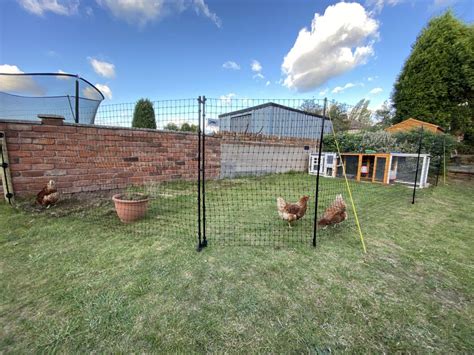 Omlet Chicken Fencing Poultry Netting For Chickens