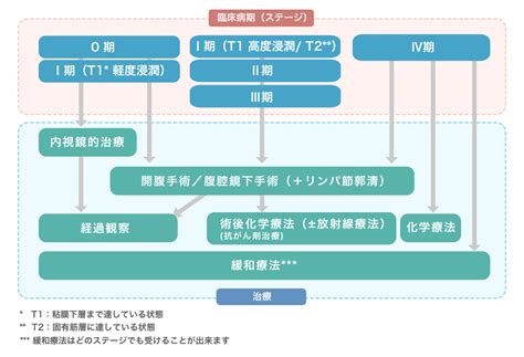 医師監修・作成 大腸がんのステージ別治療法はどうやって選ぶ？治療方法を選ぶ際に参考となるフローチャート Medleyメドレー