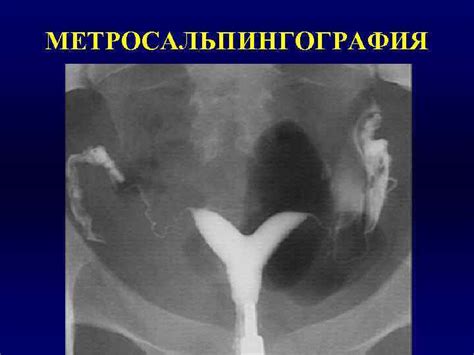 Сибирский Государственный Медицинский Университет