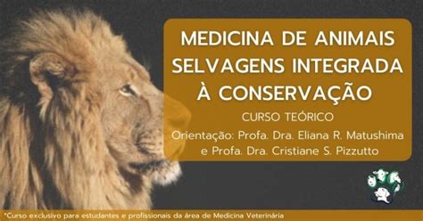 Medicina De Animais Selvagens Integrada Conserva O Online Sympla