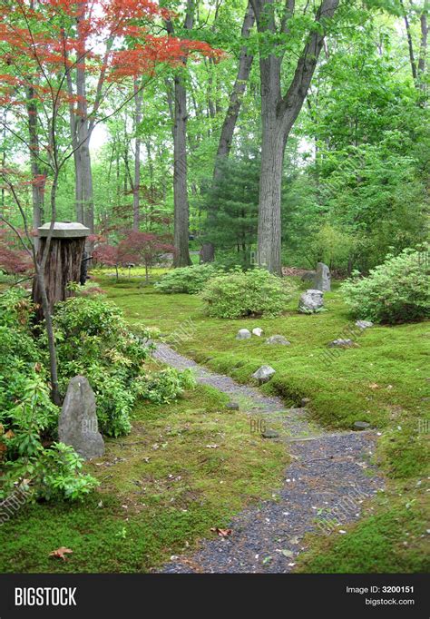 Japanese Moss Garden Image & Photo (Free Trial) | Bigstock