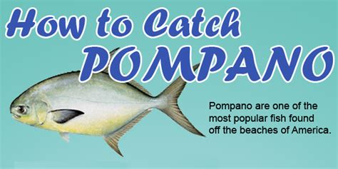 How To Catch Pompano Fishing From Florida Shores