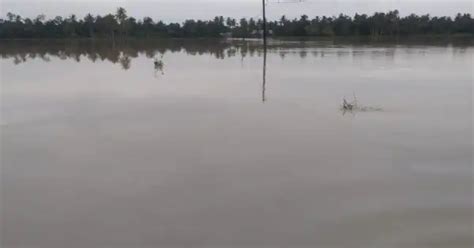 Banjir Aceh Utara Akibatkan Kerugian Sektor Pertanian Capai 32 7 Miliar