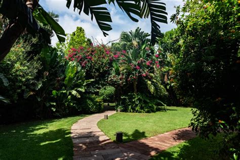 Giardino Tropicale Piante Esotiche Pi Belle Della Sardegna