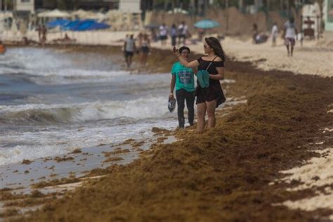 Caños Congelados Y Accidentes Domésticos Radiografía De Una Ciudad