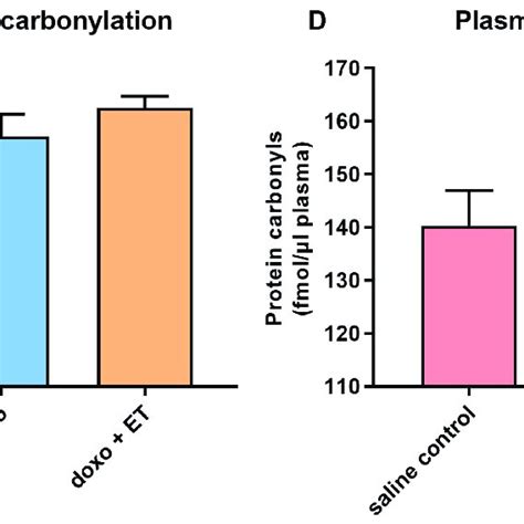 Oxidative Damage Biomarkers Although Slight Increases Were Observed In