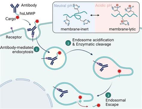 Angewandte Chemie International