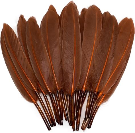 Amazon Feelfunfeather Pcs Coffee Brown Goose Cochettes Feather