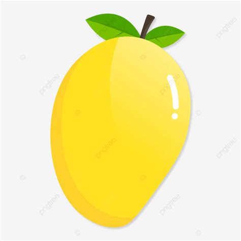 Mango Vector Illustration Mango Mango Vector Mango Icon Png And