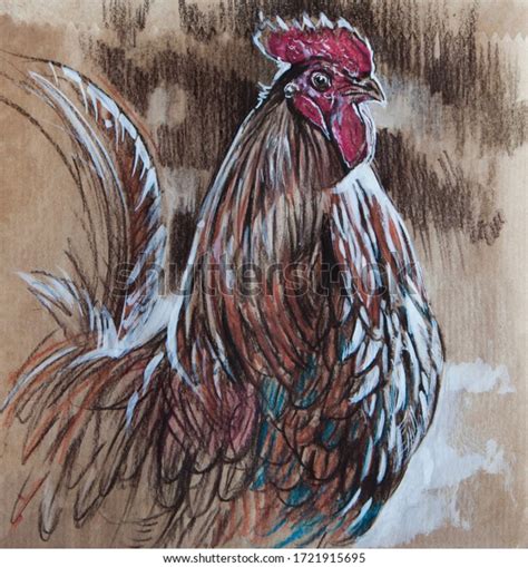 Rooster Hand Made Charcoal Drawing Brown Stock Illustration 1721915695