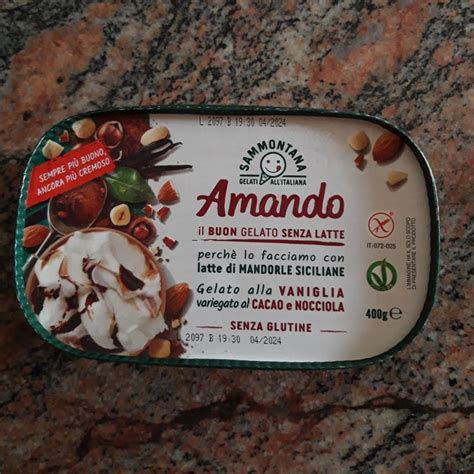 Sammontana Amando Gelato Alla Vaniglia Variegato Al Cacao E Nocciola