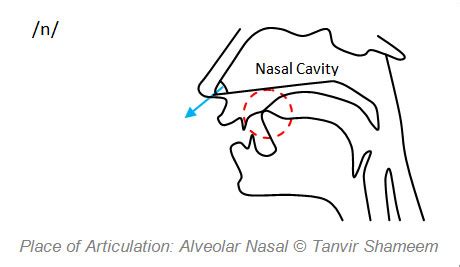 The Nasal Consonants - Tanvir's Blog