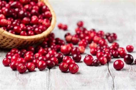 11 Manfaat Cranberry Untuk Kesehatan Dan Kandungan Gizinya