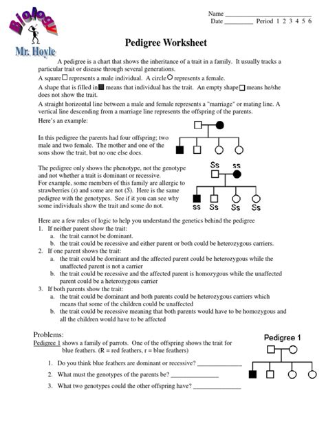 Genetics Pedigree Worksheet PDF Worksheets Library