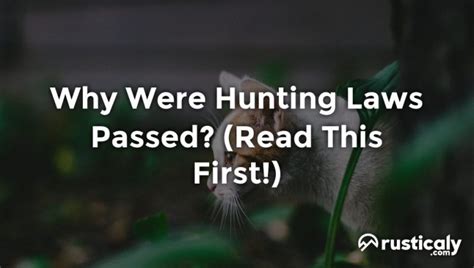 Why Were Hunting Laws Passed? (Easy & Clear Answer)