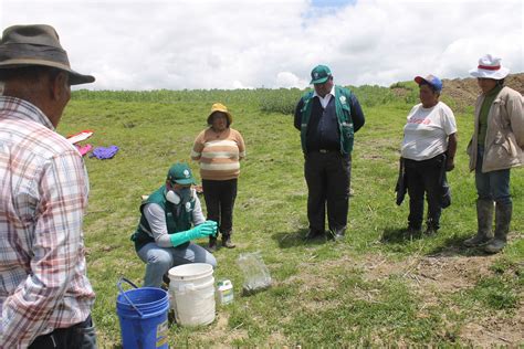 Jun N Senasa Promueve Uso De Controladores Biol Gicos Para Plagas