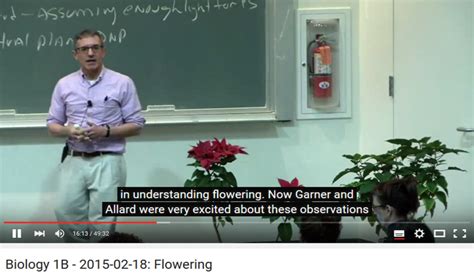 Introductory Plant Biology Video Lecture Series Plant Science Today