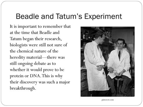 PPT Blueprint Of Life Topic 16 Beadle And Tatum PowerPoint