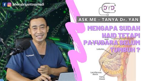 Ask Me Tanya Dr Yan Mengapa Sudah Haid Tetapi Payudara Belum